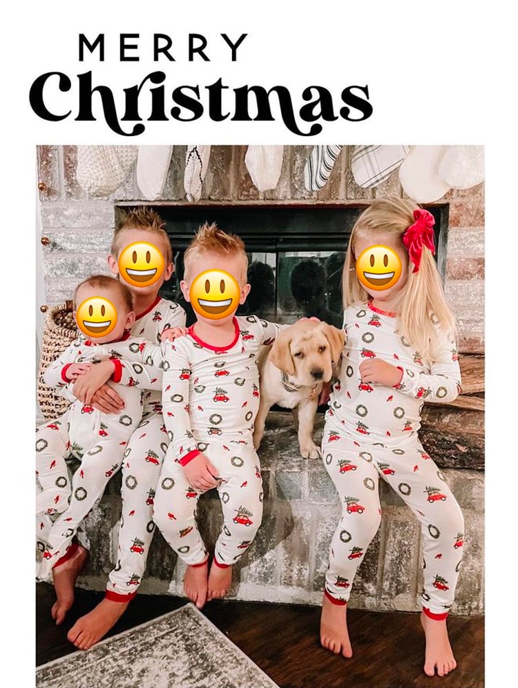 christmas-labrador-puppy-surprise
