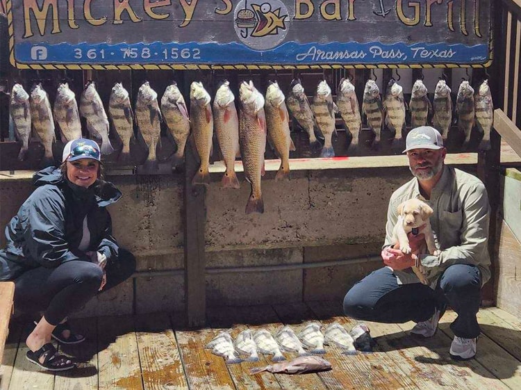 yellow-labrador-retriever-puppy-fishing