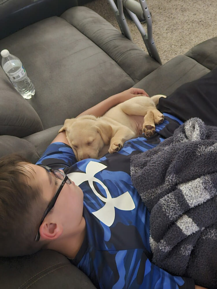 yellow-lab-puppy-and-young-boy